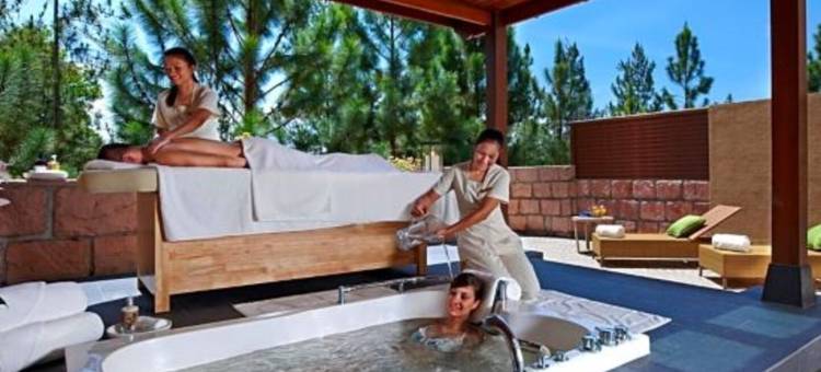 城堡水疗健康度假村(The Chateau Spa & Wellness Resort)图片