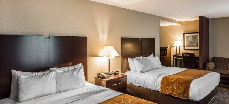 舒适套房酒店-惠特塞特格林斯博罗东(Comfort Suites Whitsett - Greensboro East)图片