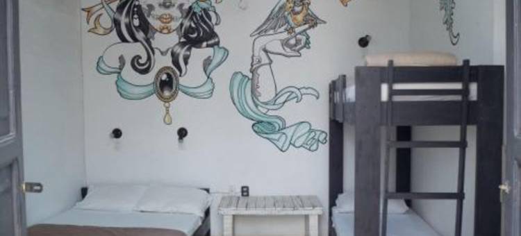 El Petate Hostel图片