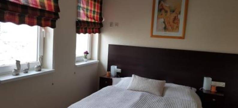 Kamienica Bory图片