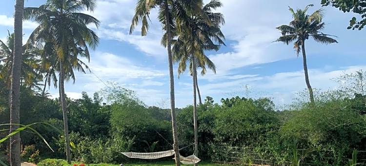 阿马拉阿育吠陀度假村(Amara Ayurveda Retreat)图片