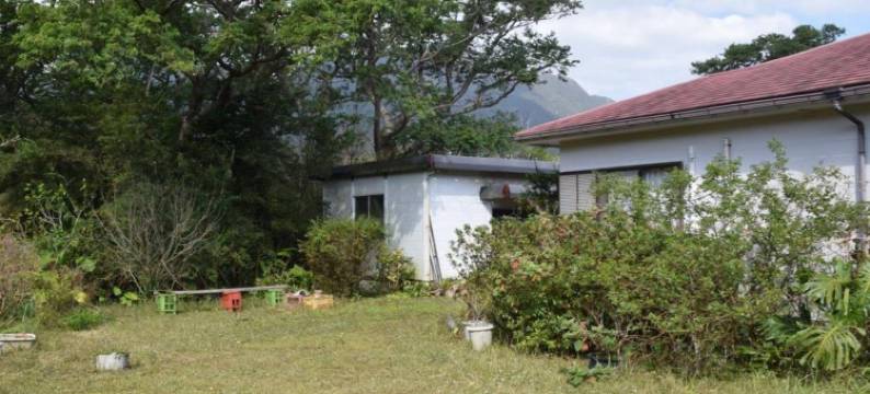 屋久岛SHARE LIFE杉之子旅馆(Yakushima Minsyuku Suginoko)图片