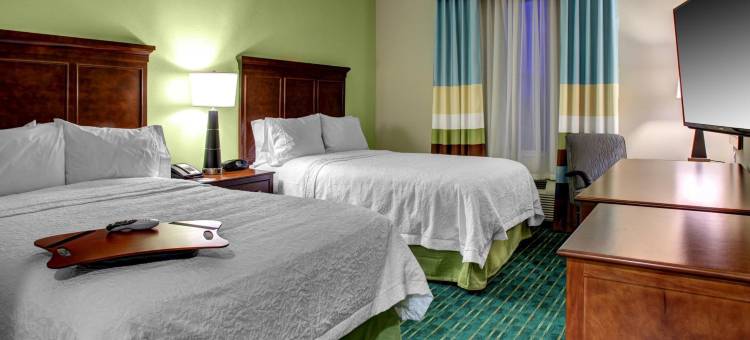 椰子溪欢朋套房酒店(Hampton Inn & Suites Coconut Creek)图片
