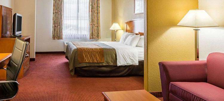 切萨皮克朴茨茅斯舒适套房酒店(Comfort Inn & Suites Chesapeake - Portsmouth)图片