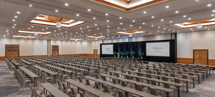 珊瑚角度假滨海村威斯汀酒店(The Westin Cape Coral Resort at Marina Village)图片