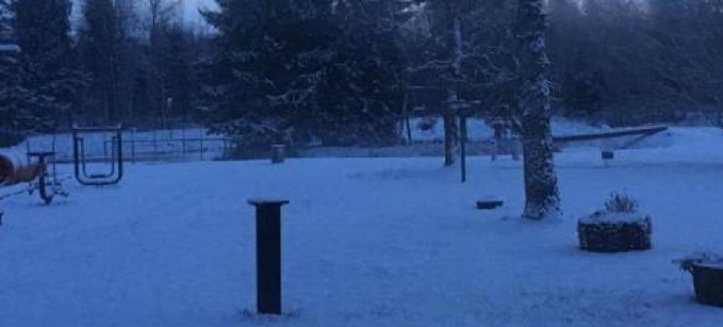 Raamatu Puhkemaja图片