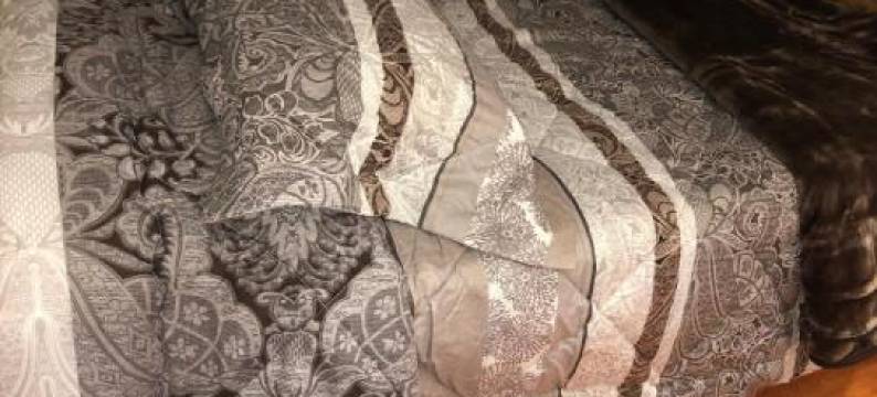 Tec by Confort图片