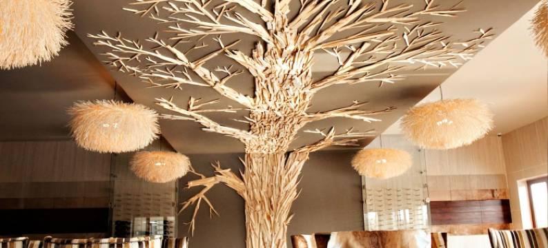 帕拉拉精品游戏 SPA 旅馆(Palala Boutique Game Lodge and Spa)图片