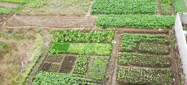 白浪滩那良妹海边民宿(环岛东路1号分店)图片