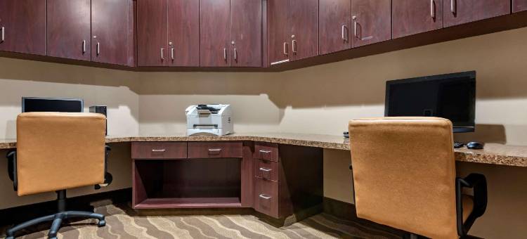 福明顿舒适酒店及套房(Comfort Inn & Suites Farmington - Victor)图片