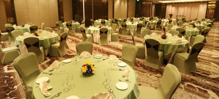 新德里机场城傲世广场酒店(Pride Plaza Hotel, Aerocity New Delhi)图片