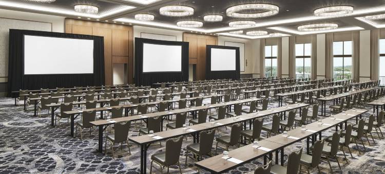 洛伊斯珊瑚山墙酒店(Loews Coral Gables Hotel)图片