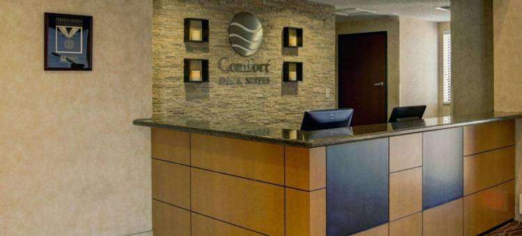 斯格恩舒适酒店和套房(Comfort Inn & Suites)图片