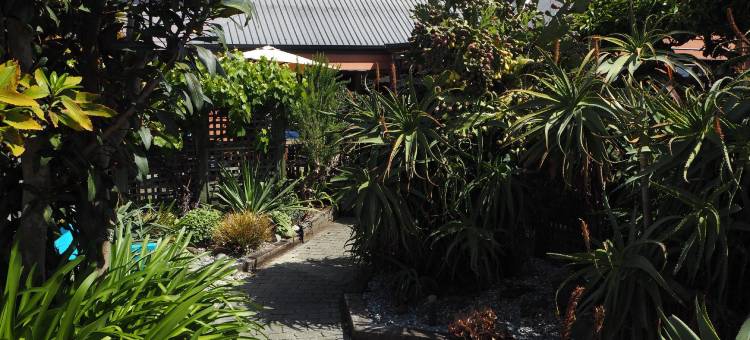 塔斯曼湾背包酒店(Tasman Bay Backpackers)图片