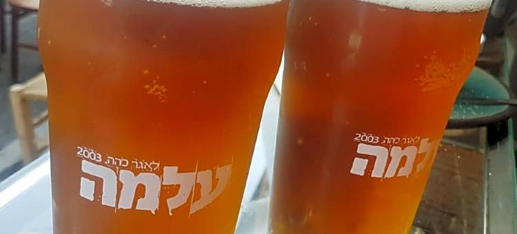特拉维夫佩波青年旅馆(Pepo Hostel Tel Aviv)图片