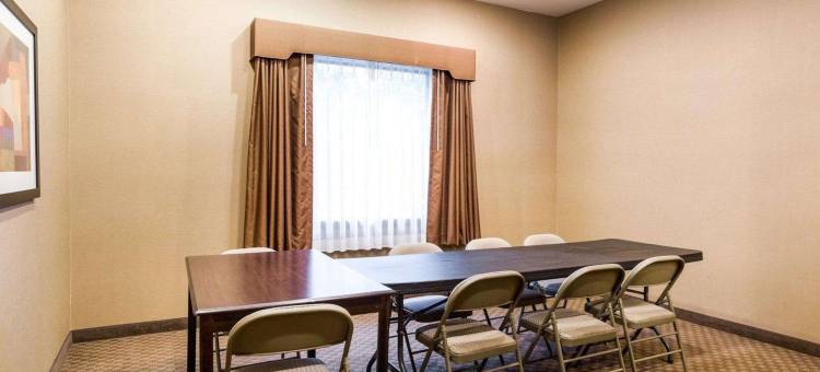 舒适套房酒店(Comfort Inn & Suites)图片