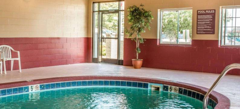 迪凯特普利斯维尔舒适酒店(Comfort Inn Decatur Priceville)图片