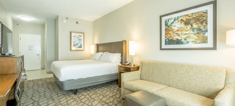 Holiday Inn & Suites 桃树市(Holiday Inn & Suites Peachtree City)图片
