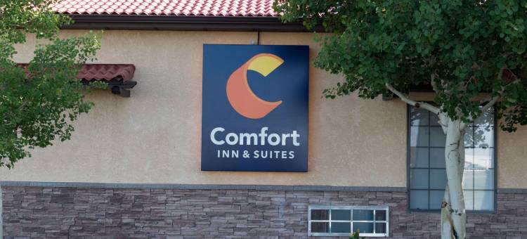 阿拉莫萨舒适套房酒店(Comfort Inn & Suites Alamosa)图片