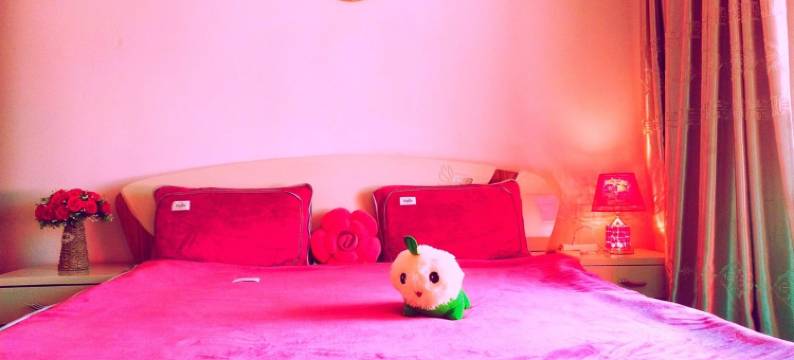 岩朵名宿公寓(八一北路1号分店)图片