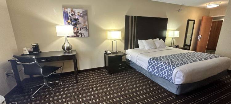 贝思贝斯特韦斯特优质套房酒店(Best Western Plus Bass Hotel  Suites)图片