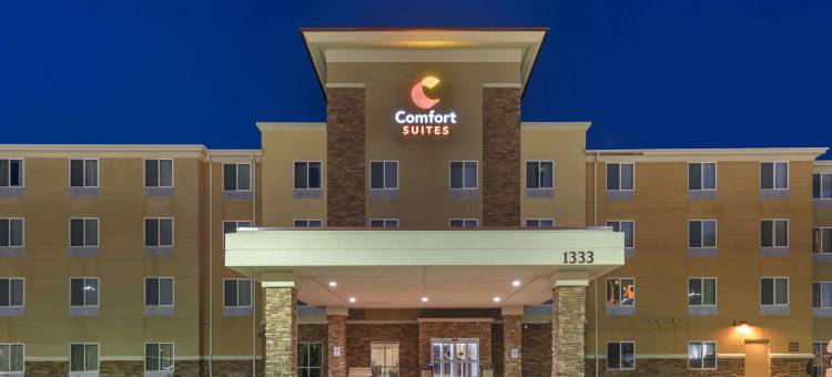 拉皮德城舒适套房酒店及会议中心(Comfort Suites Conference Center Rapid City)图片