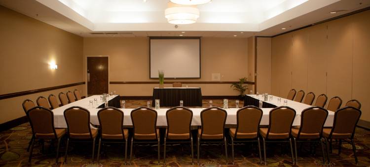 洲际酒店集团假日酒店 格林维尔(Holiday Inn Greenville)图片