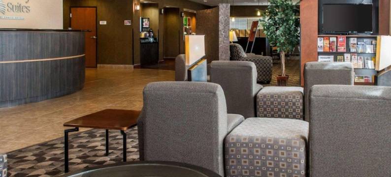 霍布斯舒适全套房酒店(Comfort Suites)图片