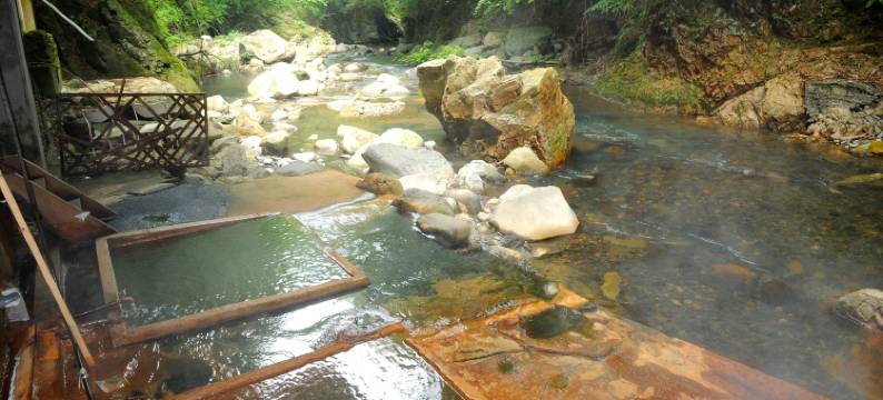 明贺屋本馆酒店(Myogaya Honkan)图片