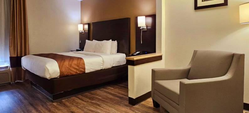 圣路易斯和I-255附近凯艺套房酒店(Quality Inn & Suites Near St Louis and I-255)图片