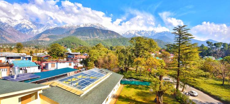 无限茶园度假村(Infinitea Tea Garden Resort)图片