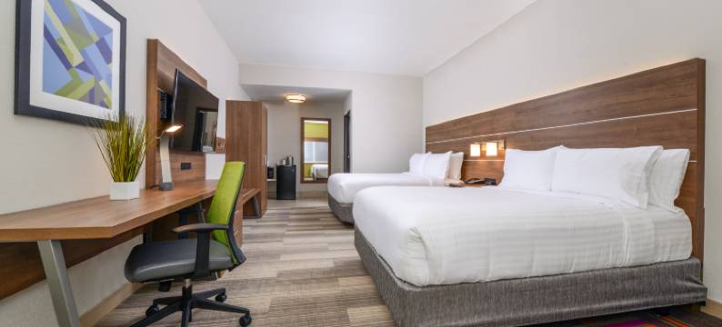 阿拉楚阿盖恩斯维尔地区智选假日套房酒店(Holiday Inn Express & Suites ALACHUA - GAINESVILLE AREA by IHG)图片