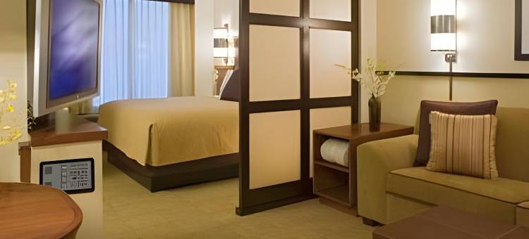 亚特兰大市区凯悦嘉轩酒店(Hyatt Place Atlanta Downtown)图片
