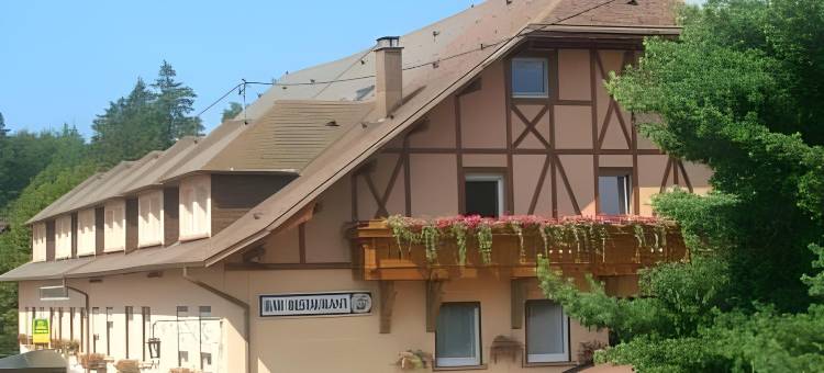 多农山酒店(Hotel du Donon)图片