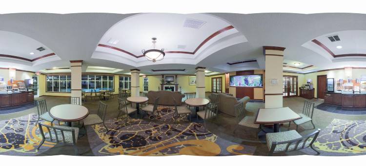 智选假日套房酒店皮尔兰(Holiday Inn Express & Suites Pearland)图片