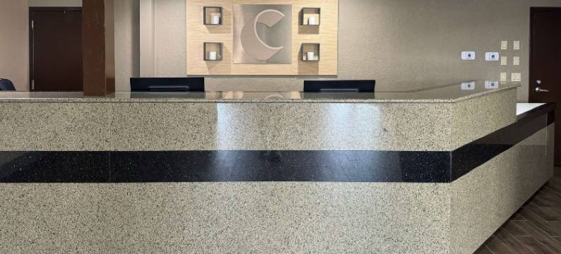 莫米 - 佩里斯堡区舒适酒店(Comfort Inn Maumee - Perrysburg Area)图片