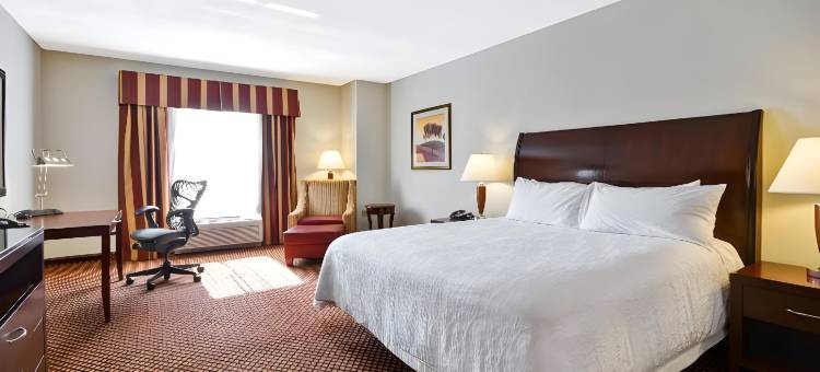 布兰登坦帕河景希尔顿花园酒店(Hilton Garden Inn Tampa/Riverview/Brandon)图片