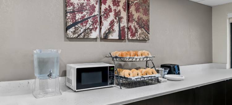 红屋顶酒店-弗林特(Red Roof Inn Flint)图片