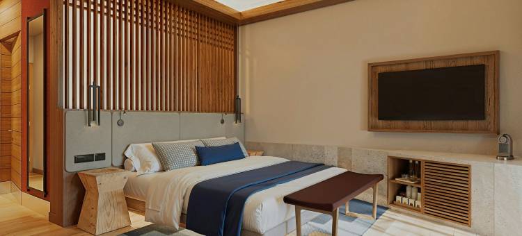 克莱维亚，圣米格尔-德阿连德，傲途格精选(Cleviá, Autograph Collection, San Miguel de Allende)图片