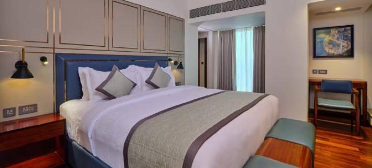 乌代布尔骄傲酒店(Pride Hotel Udaipur)图片