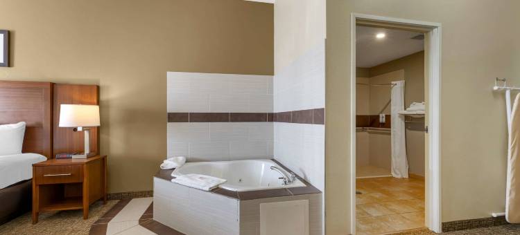 波特舒适套房酒店 - 近印第安纳沙丘(Comfort Inn & Suites Porter Near Indiana Dunes)图片