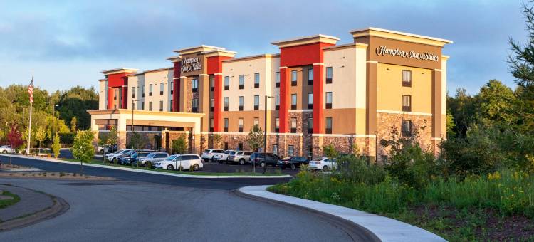 北德卢斯商场区欢朋套房酒店(Hampton Inn & Suites Duluth North/Mall Area)图片