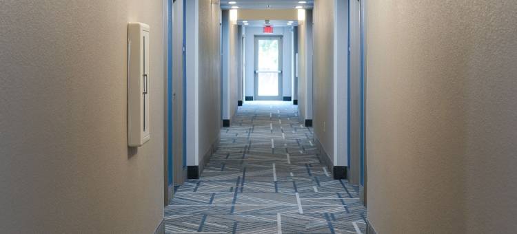 智选假日套房酒店雪松山(Holiday Inn Express & Suites Dallas Southwest-Cedar Hill)图片