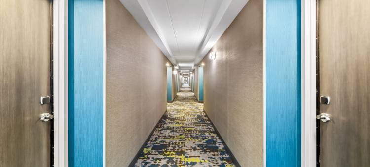 莱克星顿 - 乔治敦75号州际公路欢朋酒店(Hampton Inn Lexington/Georgetown)图片