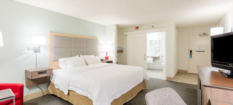 希尔顿欢朋酒店-罗切斯特(Hampton Inn Rochester)图片