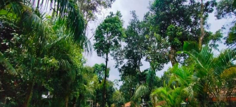 库格加瓦达纳酒店(Coorggavadana)图片