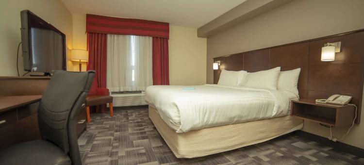 汤姆森贝斯特韦斯特套房酒店(Best Western Thompson Hotel  Suites)图片