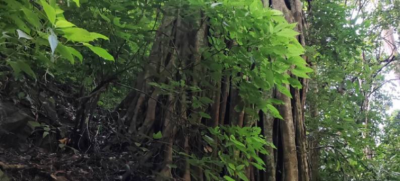 小镇家庭公寓(商业街1号分店)图片