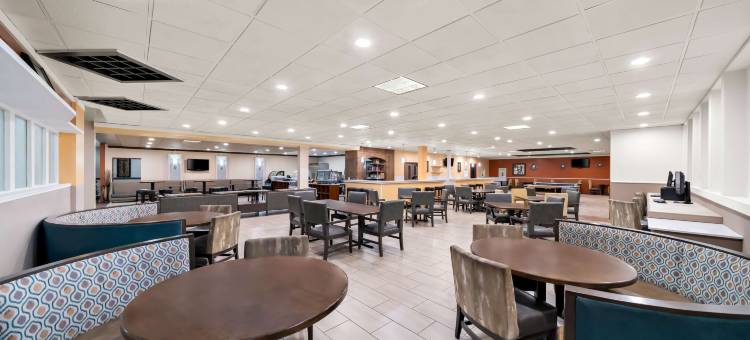 科尔尼郊区开间(Suburban Studios, Kearney)图片