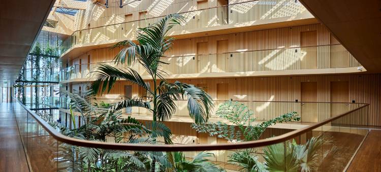 阿姆斯特丹雅加达酒店(Hotel Jakarta Amsterdam)图片